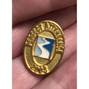Vintage Perfect Attendance Pins 2003 Award Hat Lapel badge collectable Oval Gold